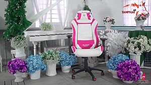 Dòng ghế game thủ cao cấp châu âu Alpha Gamer 11 ghe game thu alpha gamma 1024x577 1