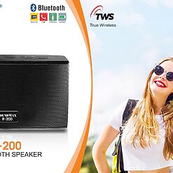 Loa Soundmax R-200