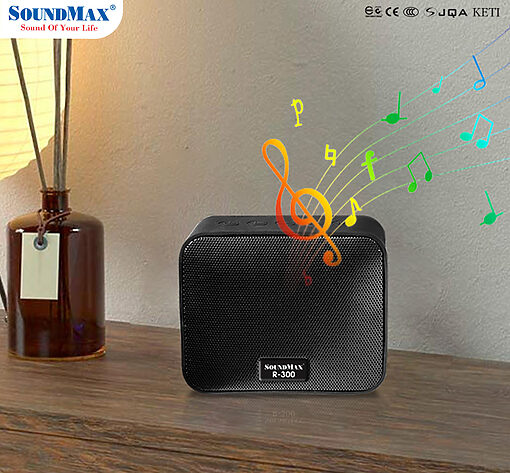 Loa Soundmax R-300