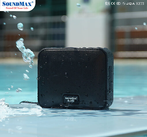 Loa Soundmax R-300