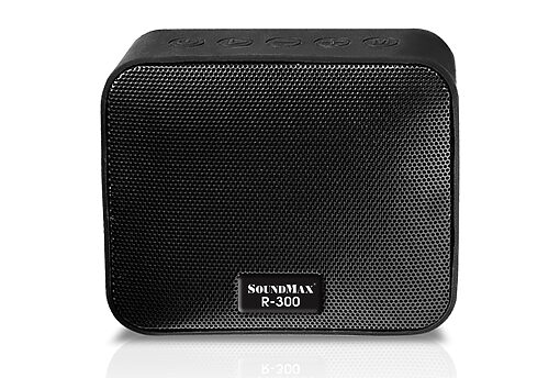 Loa Soundmax R-300