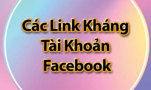 Full link kháng nghị của Facebook năm 2022 Tấn Phát AD 21 df1c5200 full link khang nghi cua facebook tanphat