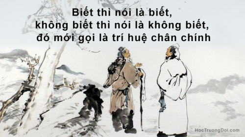 bd04d38f 15 dai tri hue cua co nhan nghin nam hau the con hoc hoi 500x280 1