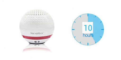LOA SOUNDMAX R-100 CHÍNH HÃNG - Ảnh 2