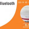 LOA SOUNDMAX R-100 CHÍNH HÃNG