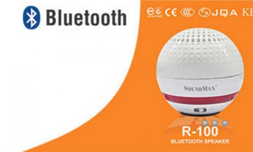 LOA SOUNDMAX R-100 CHÍNH HÃNG