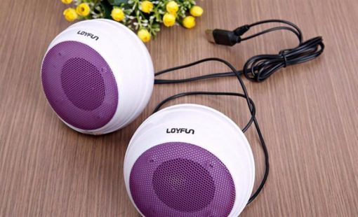 LOA LOYFUN CŨ - Ảnh 3
