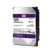 Ổ Cứng Western Digital Purple 10TB 256MB Cache WD102PURZ