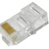 ĐẦU MẠNG AMP - Cái