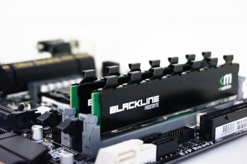 RAM PC3L 4G MUSHKIN CŨ - Ảnh 3