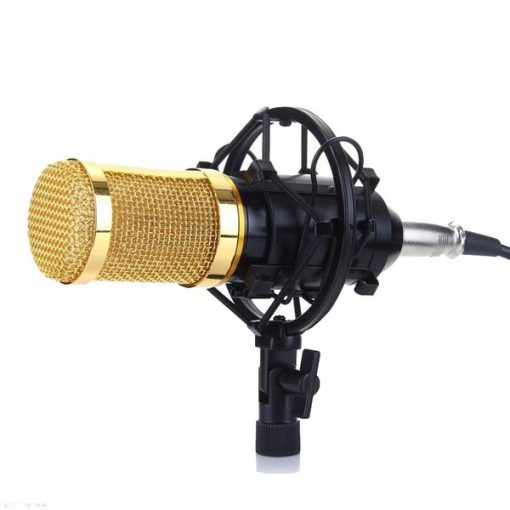 MICRO THU ÂM LIVESTREAM BM900 AUTOTUNE (Chuẩn Phòng Thu) - Ảnh 2