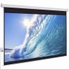 MÀN CHIẾU TREO TƯỜNG DALITE 84 INCH ( 60 X 60)