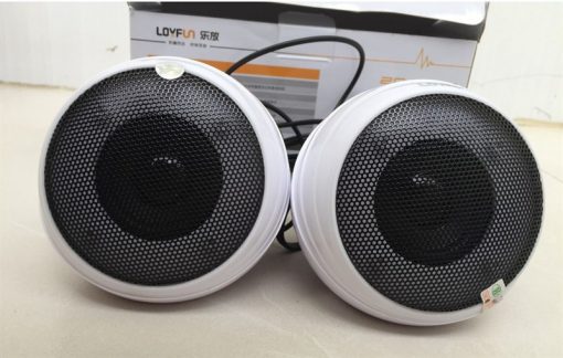 LOA LOYFUN CŨ - Ảnh 5