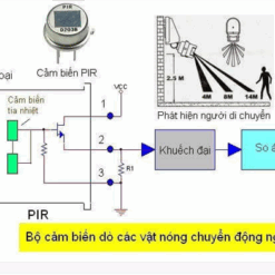 ĐÈN CẢM BIẾN (CHUNG)