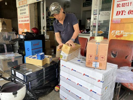 Cat 5 nguyên chất kadita - Ảnh 4
