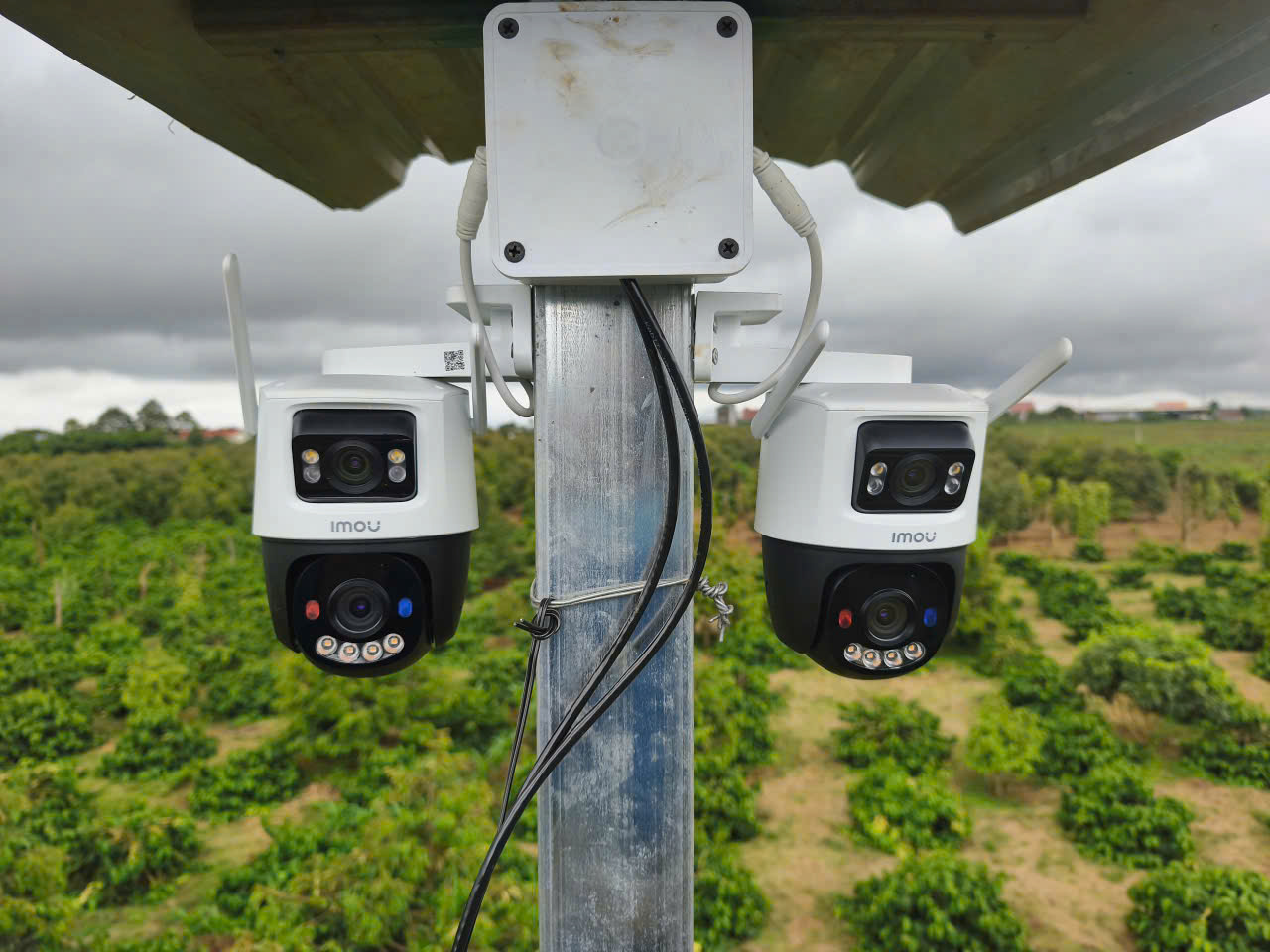 【 Dịch Vụ 】Lắp Đặt Camera Quan sát Buôn Ma Thuột - Đắk Lắk 2 Kỹ thuật lắp đặt camera tại vườn cà phê