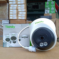 Camera IP Dome Tiandy TC C320N 2.0MP