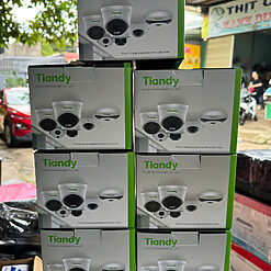 Camera IP Dome Tiandy TC C320N 2.0MPa