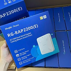 RG RAP2200E