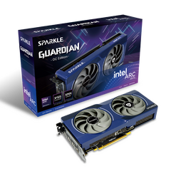 Card Đồ Họa SPARKLE Intel Arc B570 GUARDIAN OC