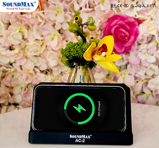 Loa Bluetooth Soundmax AC-2/2.0 - Ảnh 5