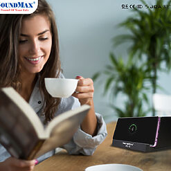 loa bluetooth soundmax ac 6
