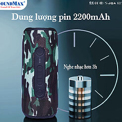 Loa di động SoundMax R-800