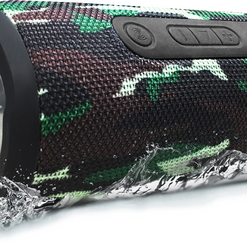Loa di động SoundMax R-800