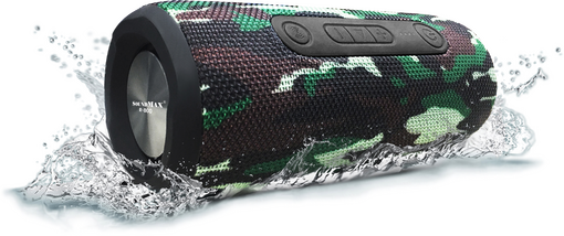 Loa di động SoundMax R-800