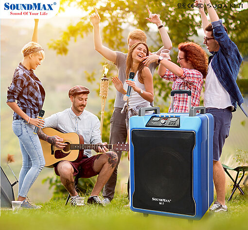 Loa Soundmax M7