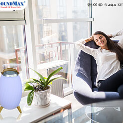 Loa SOUNDMAX AL-11