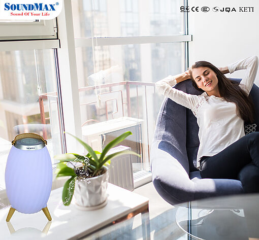 Loa SOUNDMAX AL-11