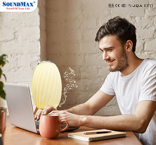 Loa SOUNDMAX AL-11 đèn di động - Ảnh 7