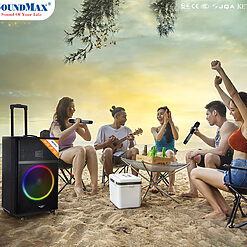 Loa SoundMax M-33