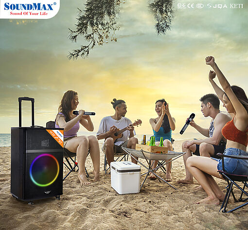 Loa SoundMax M-33