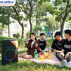 loa soundmax m 33 4