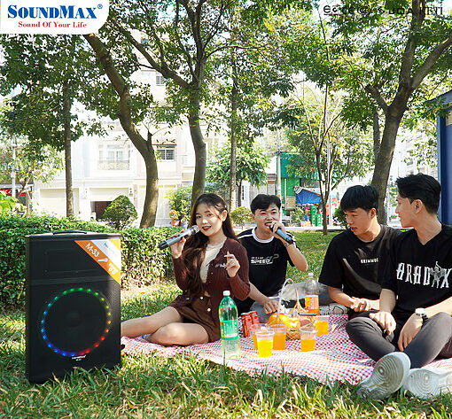 Loa SoundMax M-33 kéo di động - Ảnh 7