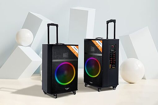 Loa SoundMax M-33