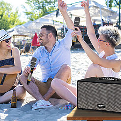 Loa SoundMax M-66