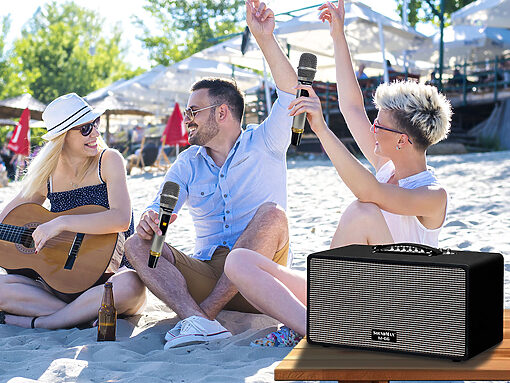 Loa SoundMax M-66