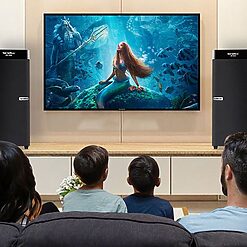 loa vi tinh soundmax ak 800 1