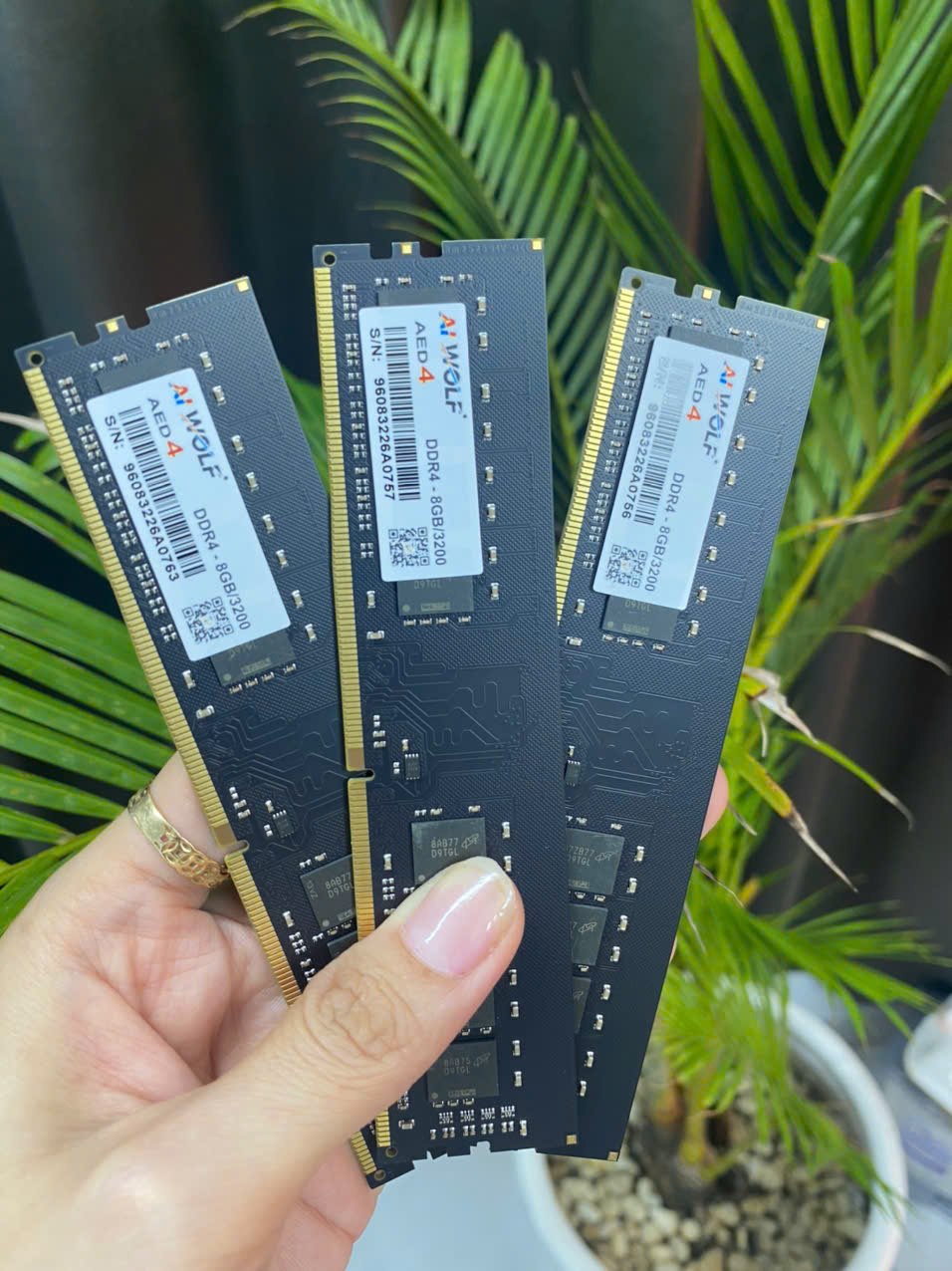 RAM PC AIWOLF AED4 DDR4 8GB/2666 BH 36T