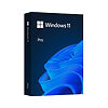 Phần mềm Win Pro FPP 11 64-bit Eng Intl USB