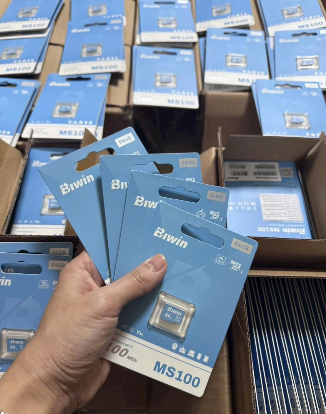Thẻ nhớ Micro SD Biwin, MS100, 64GB