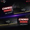 RAM PC CADEO DDR4 8GB 2666MHz CL16 – Tản Nhiệt, Bảo Hành 36 Tháng